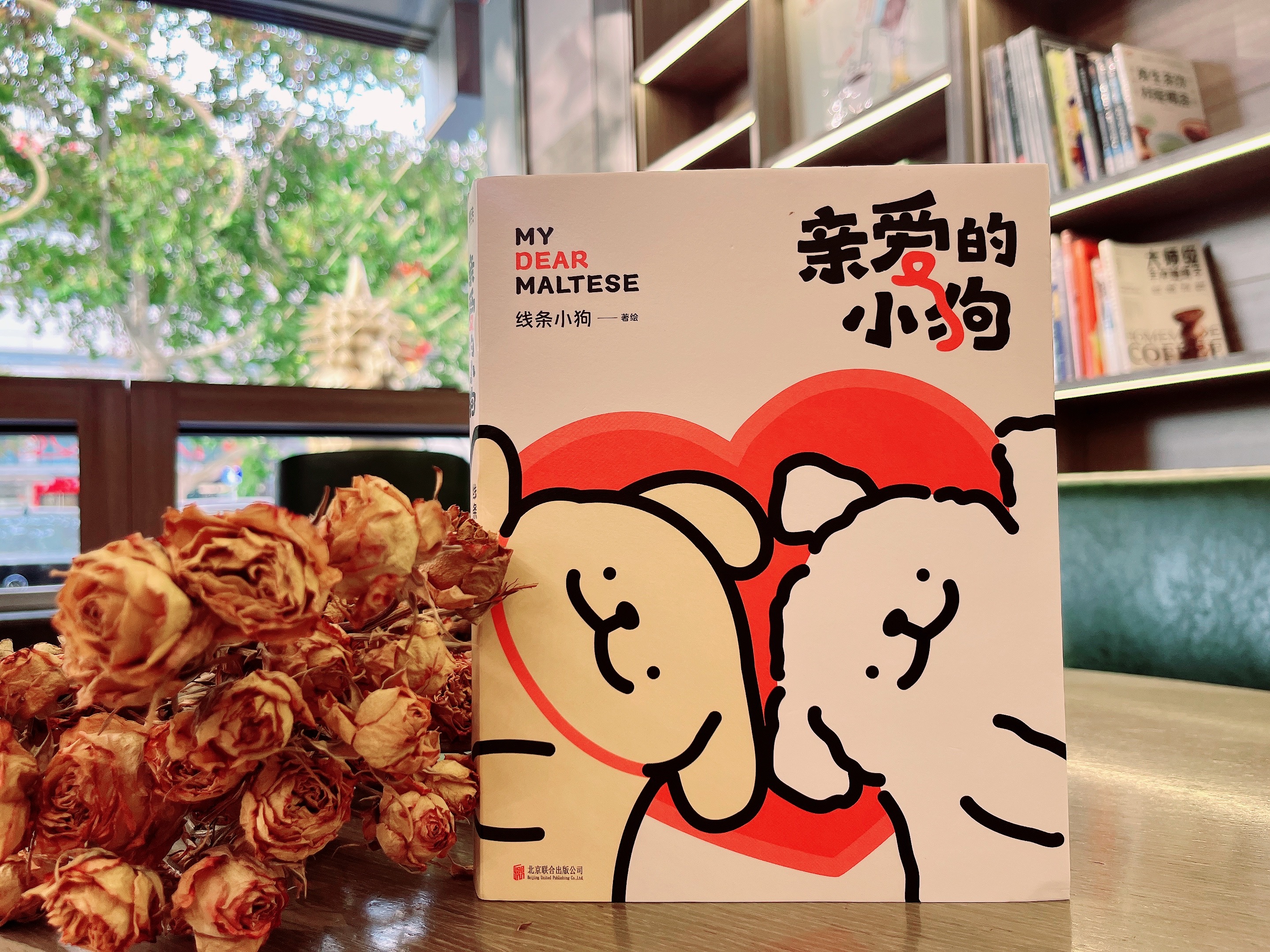 《亲爱的小狗》