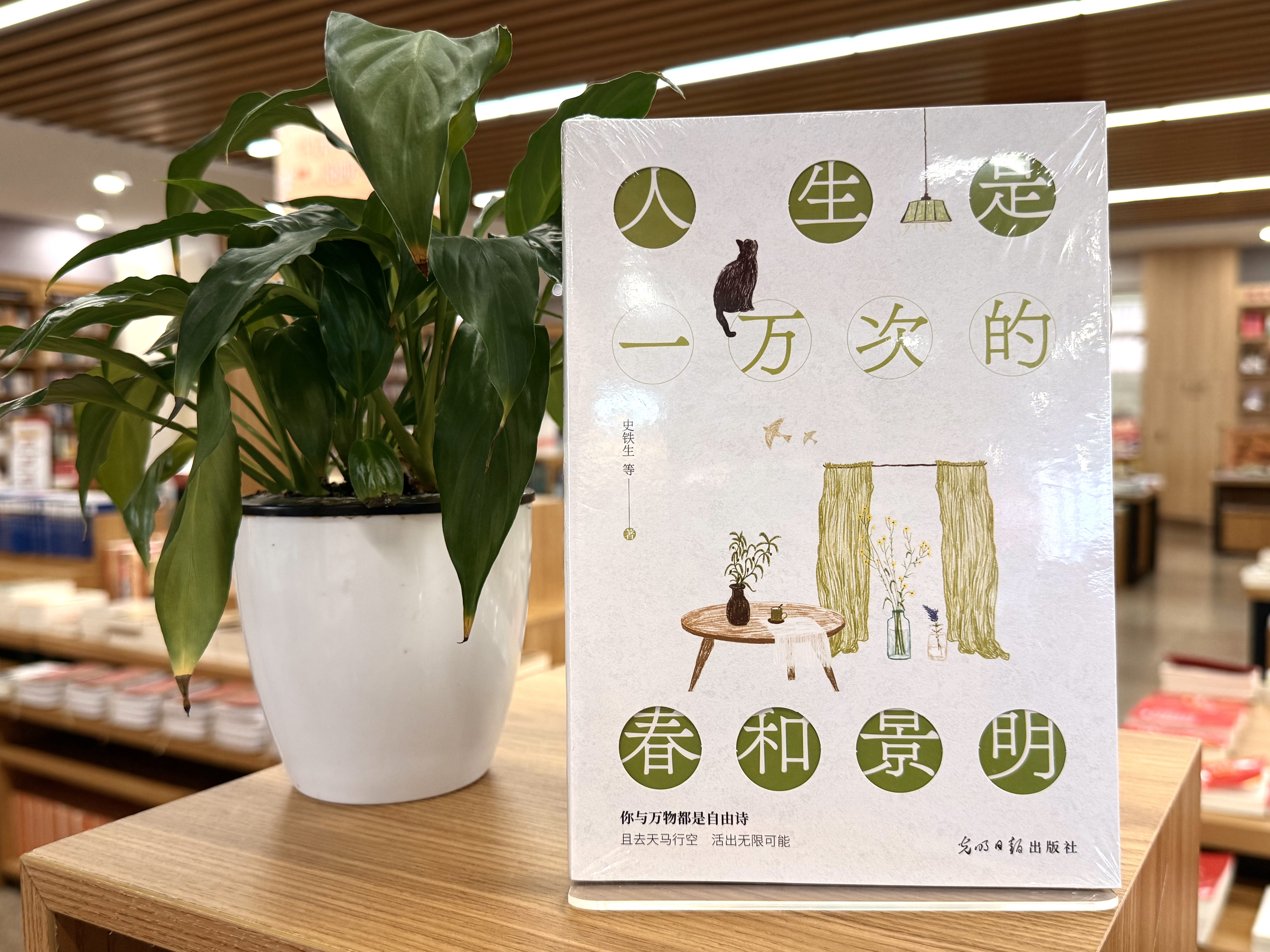 《人生是一万次的春和景明》